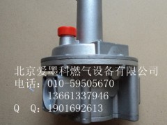 FiorentiniƊW30162ȼC(wn)ypy