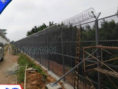 Oz䓾W ԴYřڈD P䓰WF؛