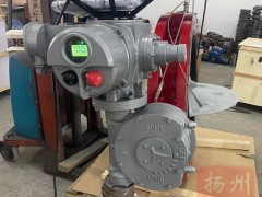 P늄ӵyBRAYDN800/